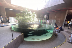 Gran Acuario Mazatlán "Mar de Cortés"